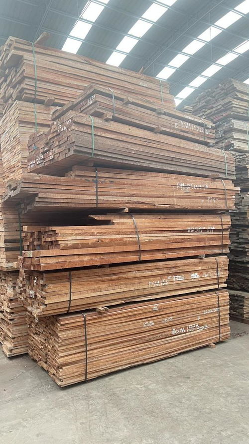 家具輔料木材全解析 精選木制品必看指南