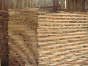 匠心筑夢，木韻流芳——走進(jìn)駿起木業(yè)加工廠